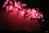 2010年 第４２回豊田おいでんまつり 花火大会 写真集 | ５基同時打ち「桜色舞う夜」 | 紅屋青木煙火